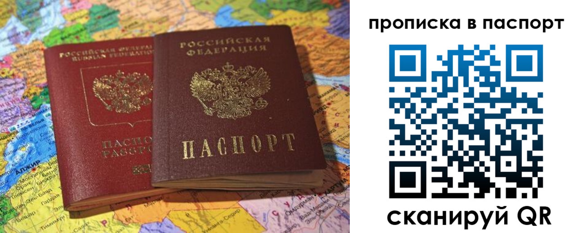 прописка гарантия в Сольцах