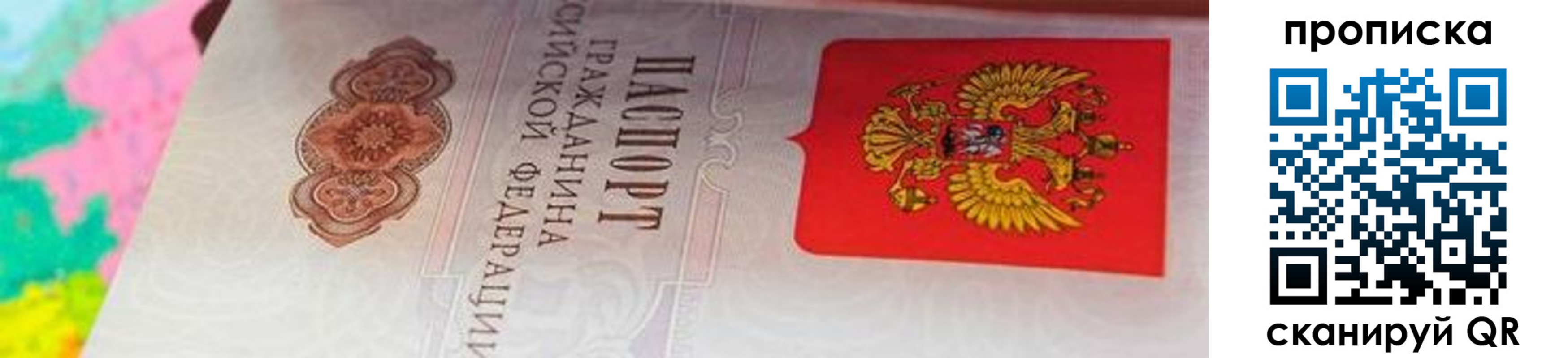 форма 3 в Сольцах