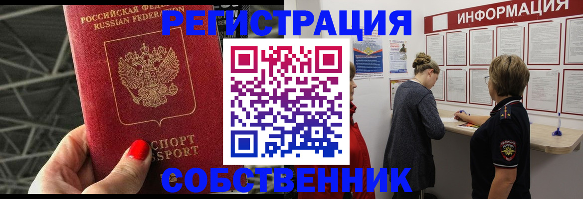 прописка поиск в Сольцах